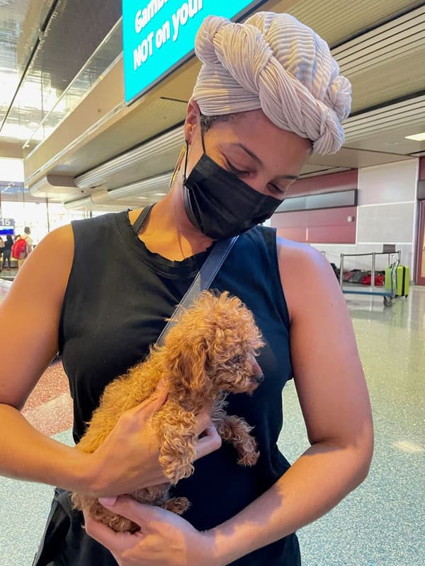 Customer photo of Cavapoo puppy from Ron G.