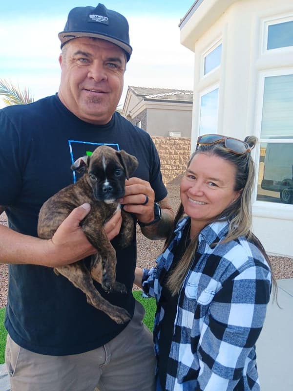 Customer photo of Boxer puppy from Jenni B.