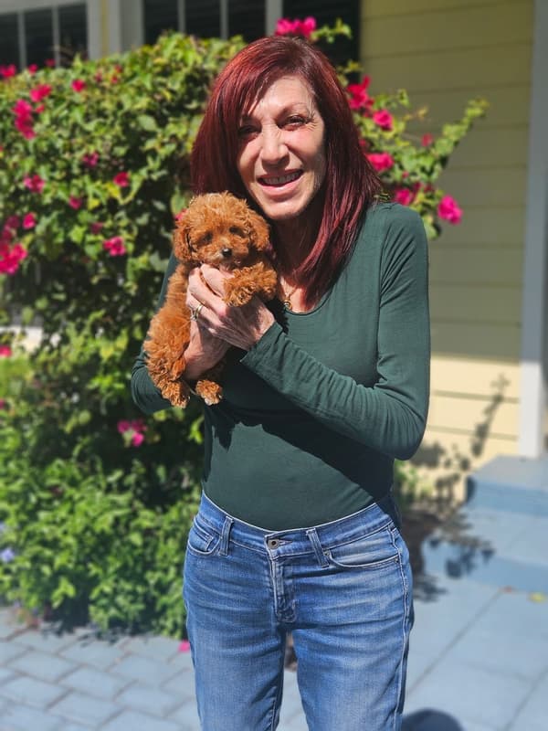 Customer photo of Malti Poo - Maltipoo puppy from Anne Z.