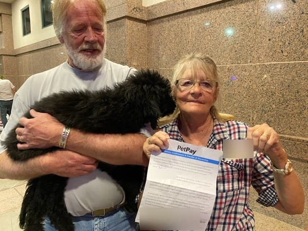 Customer photo of Goldendoodle puppy from Deborah G. 