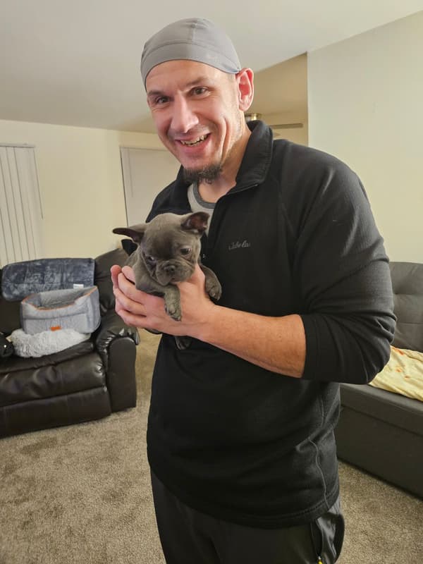 Customer photo of French Bulldog puppy from Jared D.