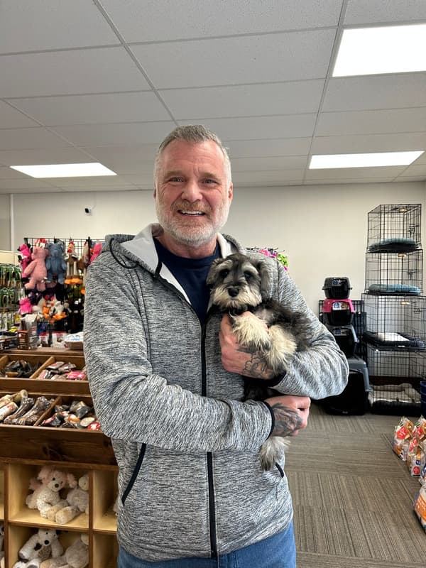 Customer photo of Schnauzer, Miniature puppy from Joshua W.