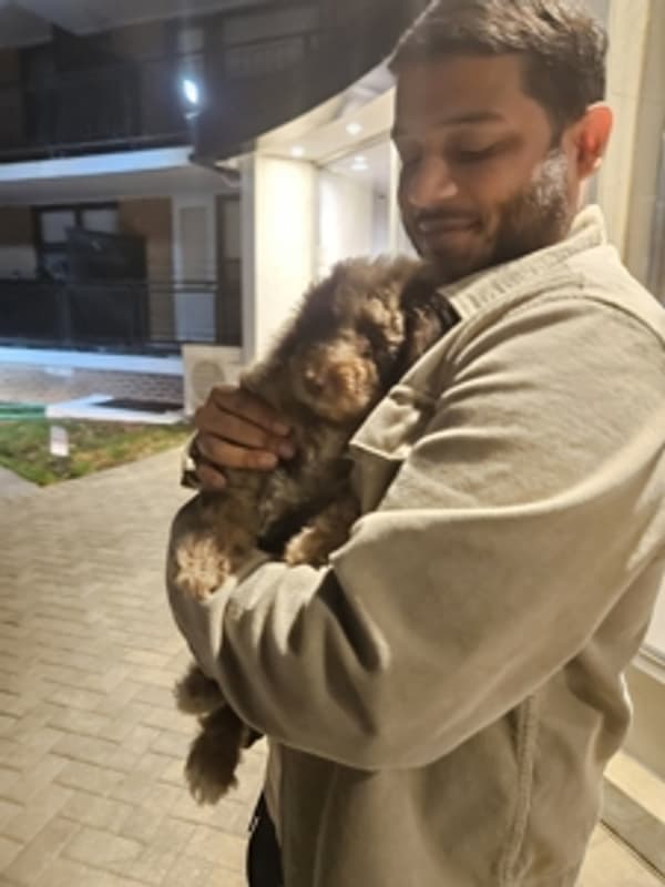 Customer photo of Poodle, Standard puppy from Ashraf S.