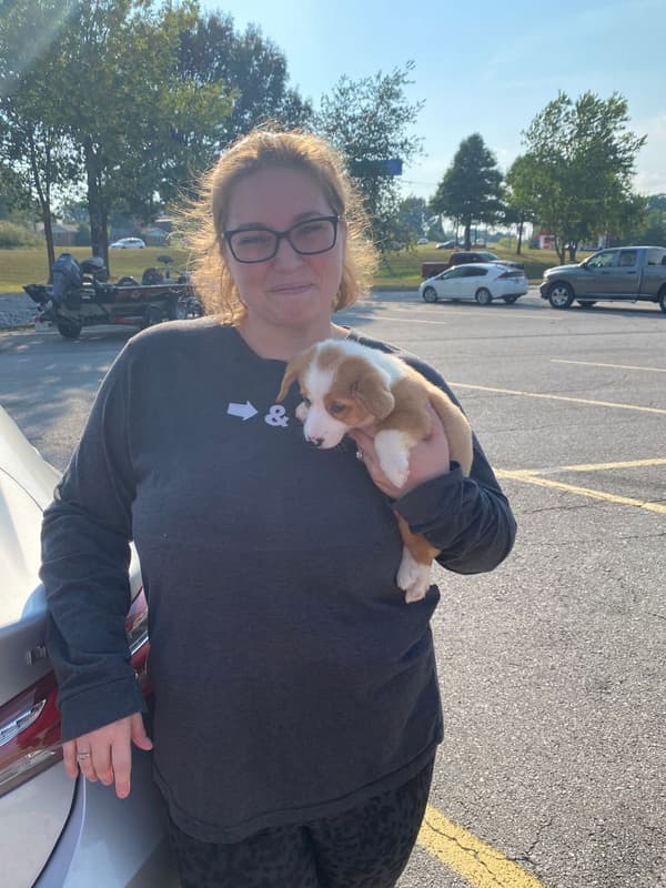 Customer photo of Corgi, Pembroke Welsh puppy from Amanda S. 