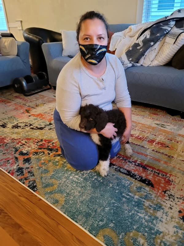 Customer photo of Poodle, Standard puppy from Griselda R.