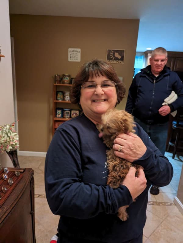 Customer photo of Yorkiepoo - Yorkie Poo puppy from Patrice M.