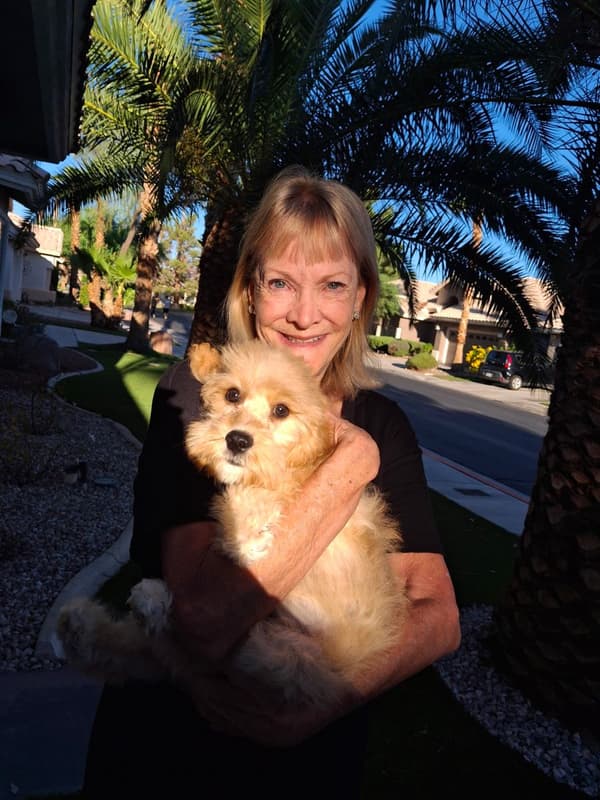 Customer photo of Cockapoo puppy from Paula P.