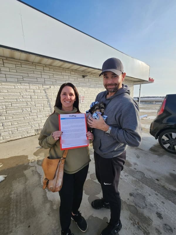 Customer photo of Morkie / Yorktese puppy from Kate S.