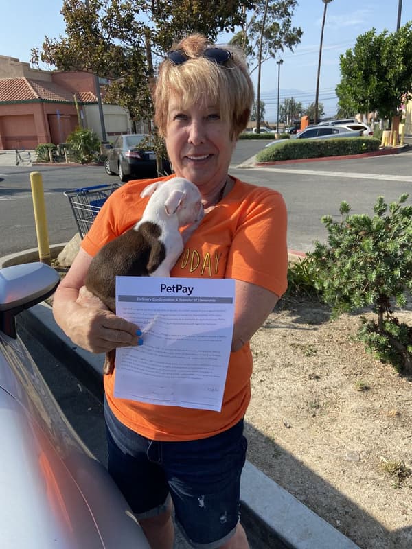 Customer photo of Boston Terrier puppy from Barbara R.