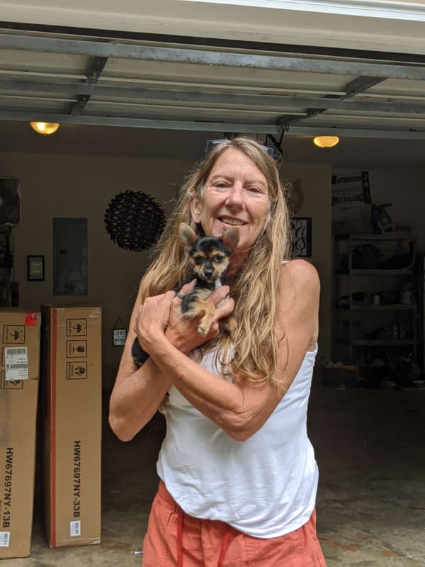 Customer photo of Chorkie puppy from Susan S.