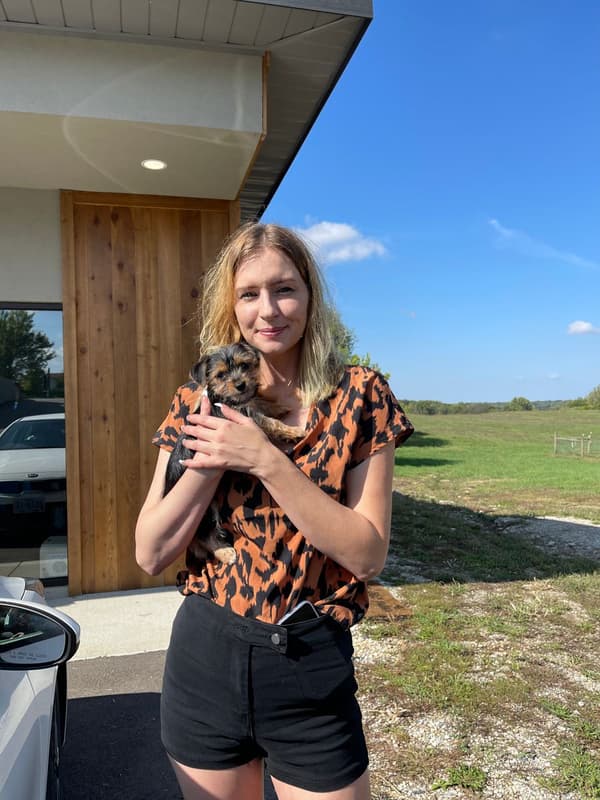 Customer photo of Chorkie puppy from Catherine S.