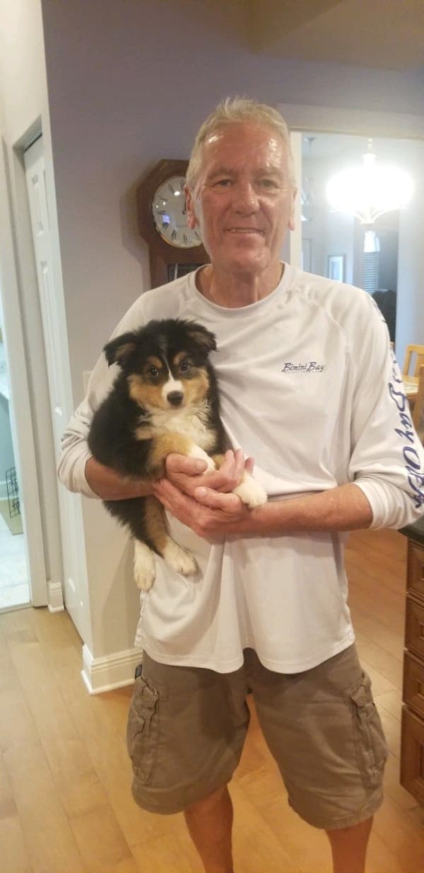 Customer photo of Miniature Australian Shepherd puppy from Edward W.