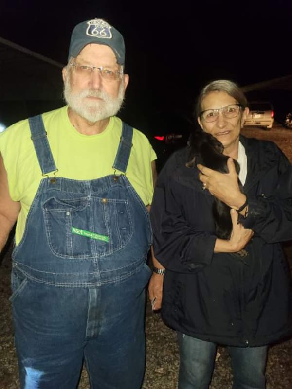 Customer photo of Dachshund, Mini puppy from Wilburn L.