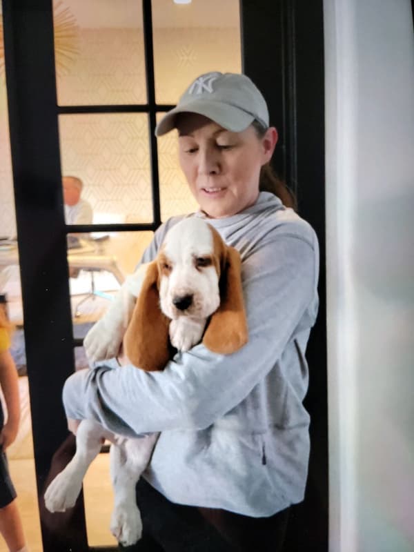 Customer photo of Basset Hound puppy from Tina D.