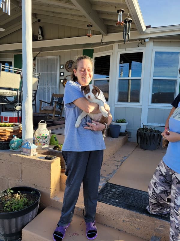 Customer photo of Border Collie puppy from Shana H.