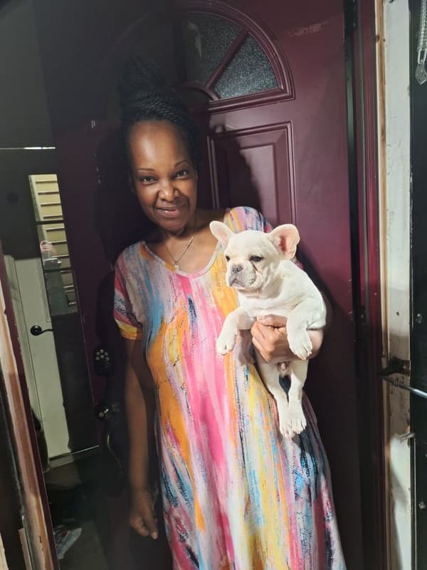 Customer photo of French Bulldog puppy from Angela S.