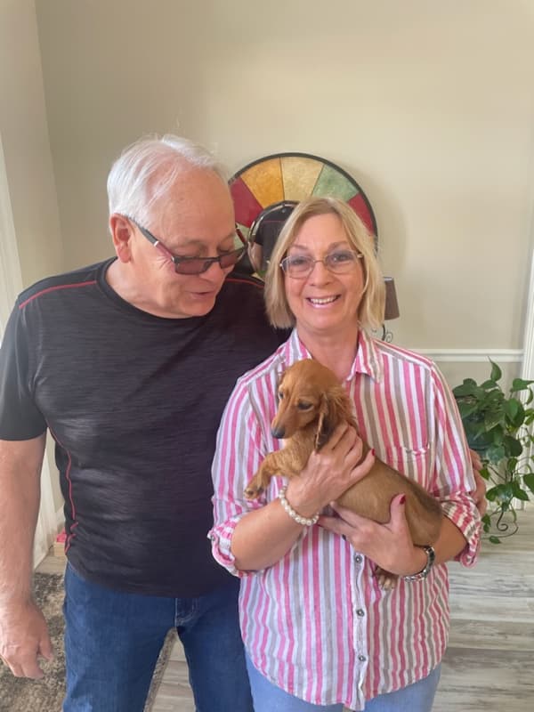 Customer photo of Dachshund puppy from Laurel R.