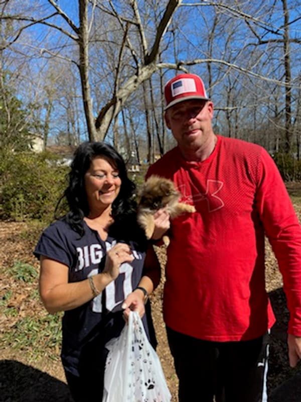 Customer photo of Pomeranian puppy from Janet H.