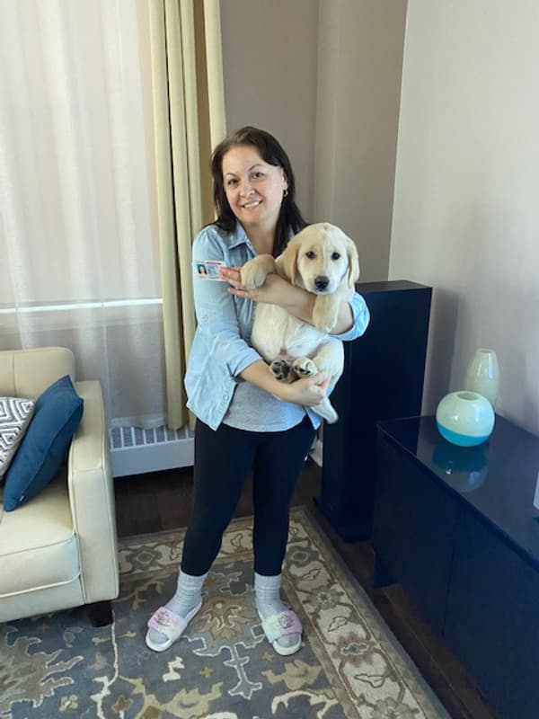 Customer photo of Labrador Retriever puppy from Maria P.