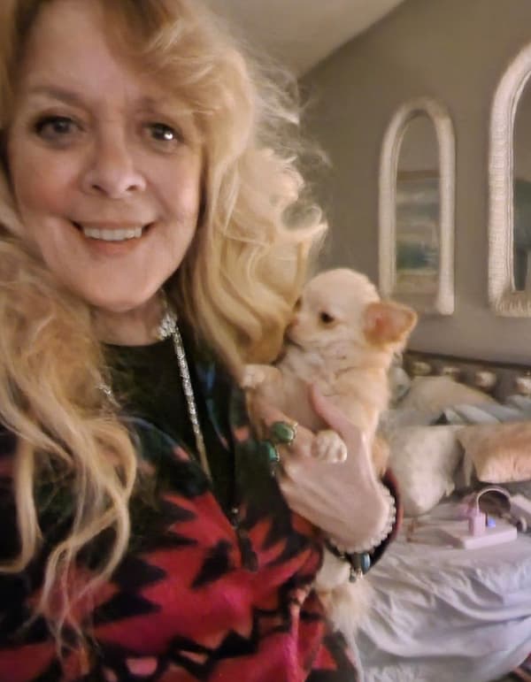 Customer photo of Chihuahua puppy from Cindy W.