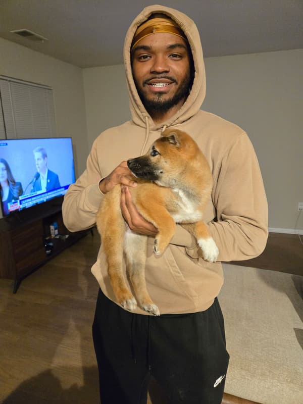 Customer photo of Shiba Inu puppy from John R.