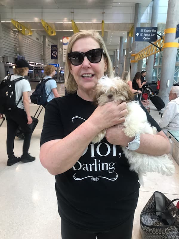 Customer photo of Shih Tzu puppy from Amy R.