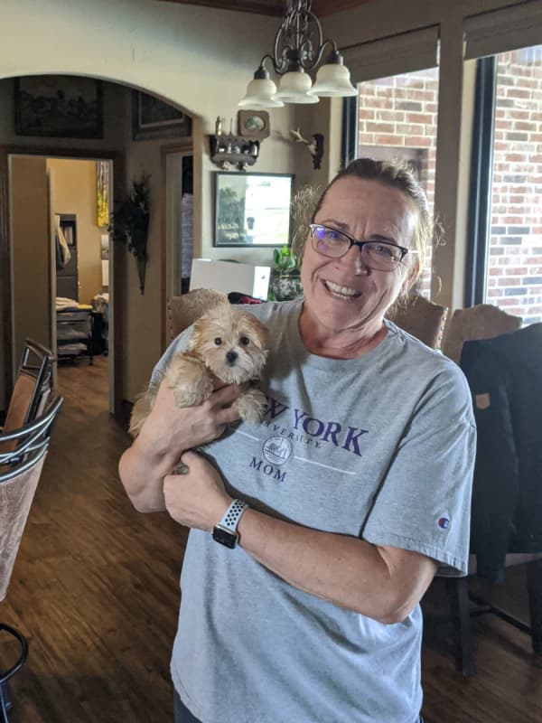 Customer photo of Morkie / Yorktese puppy from Marlene B.