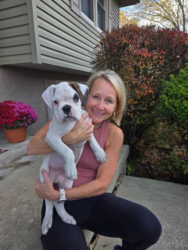 Customer photo of Boxer puppy from Becky B.