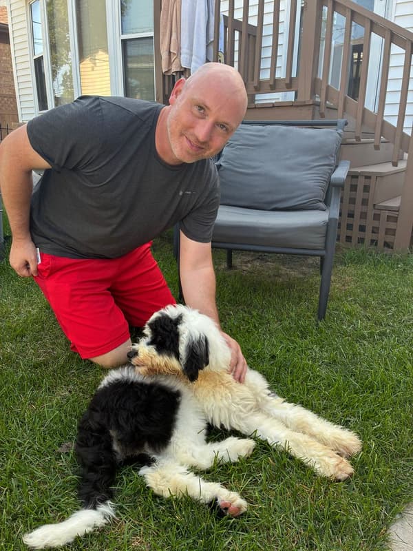 Customer photo of Sheepadoodle puppy from Jake G.