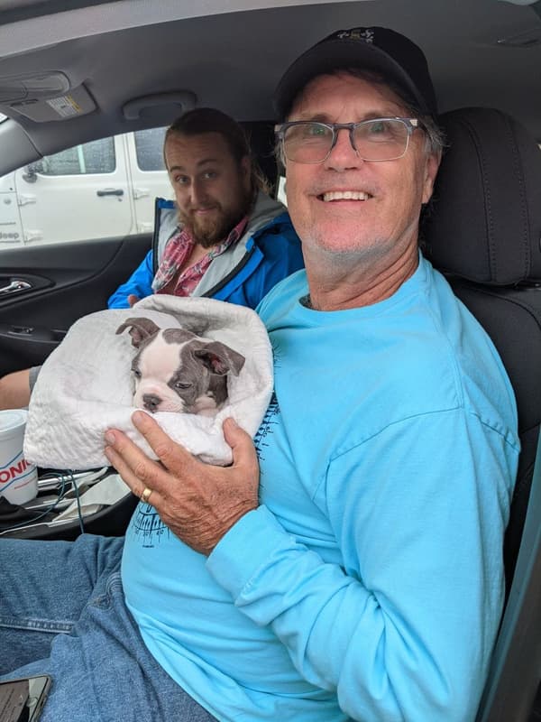 Customer photo of Frenchton puppy from Denise C.