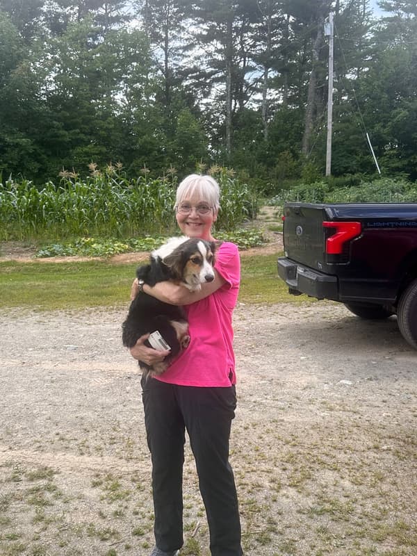 Customer photo of Corgi, Pembroke Welsh puppy from Susan P.