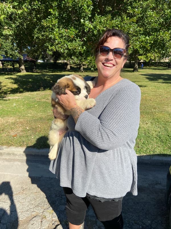 Customer photo of Saint Bernard - St. Bernard puppy from Deborah T.