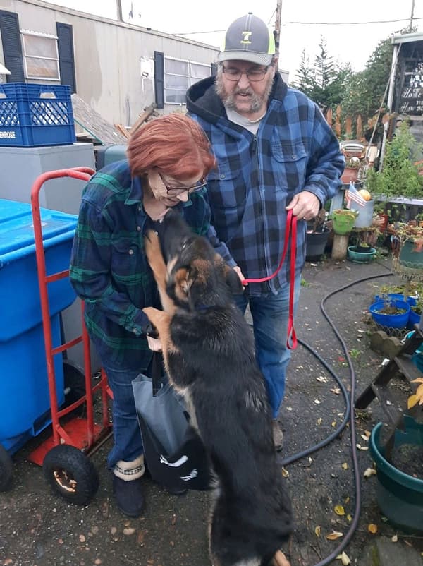 Customer photo of German Shepherd puppy from Margaret V.