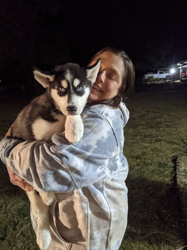 Customer photo of Siberian Husky puppy from Alicia P.