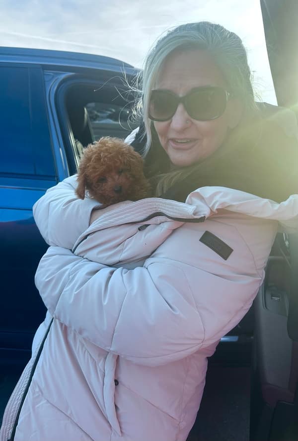 Customer photo of Poodle, Toy puppy from Tammy W.