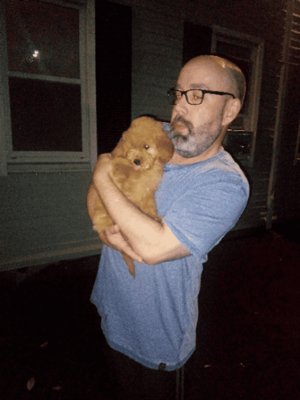 Customer photo of Goldendoodle, Mini puppy from Dax L.