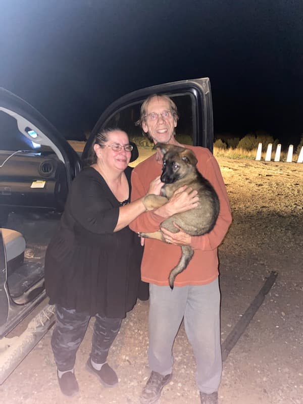 Customer photo of German Shepherd puppy from Lawrence N.