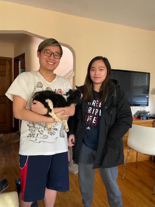 Customer photo of Cavalier King Charles Spaniel puppy from Anh D.