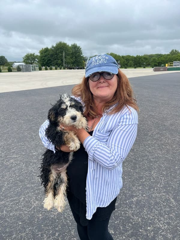 Customer photo of Bernedoodle, Mini puppy from Mark C.