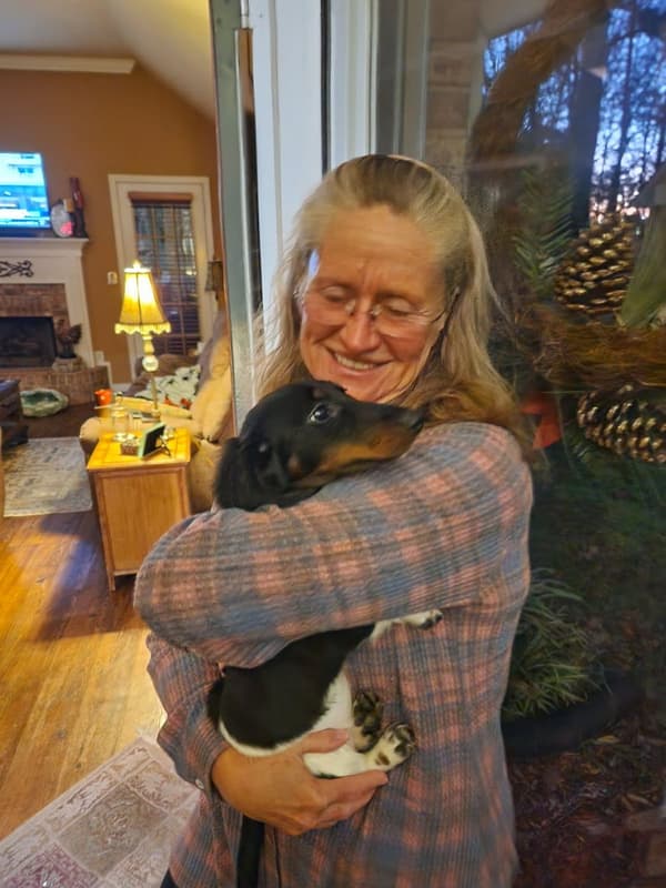 Customer photo of Dachshund, Mini puppy from Becky H.