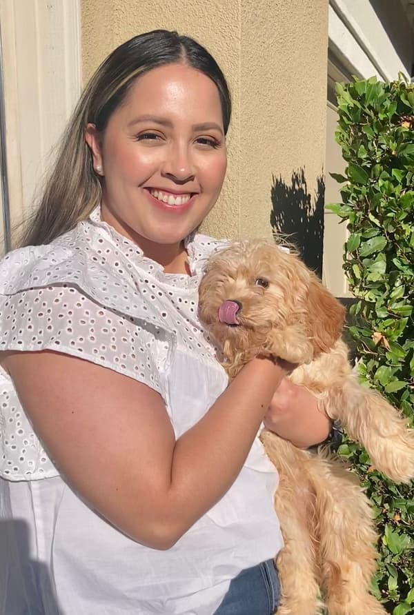 Customer photo of Cavapoo puppy from Roman R.