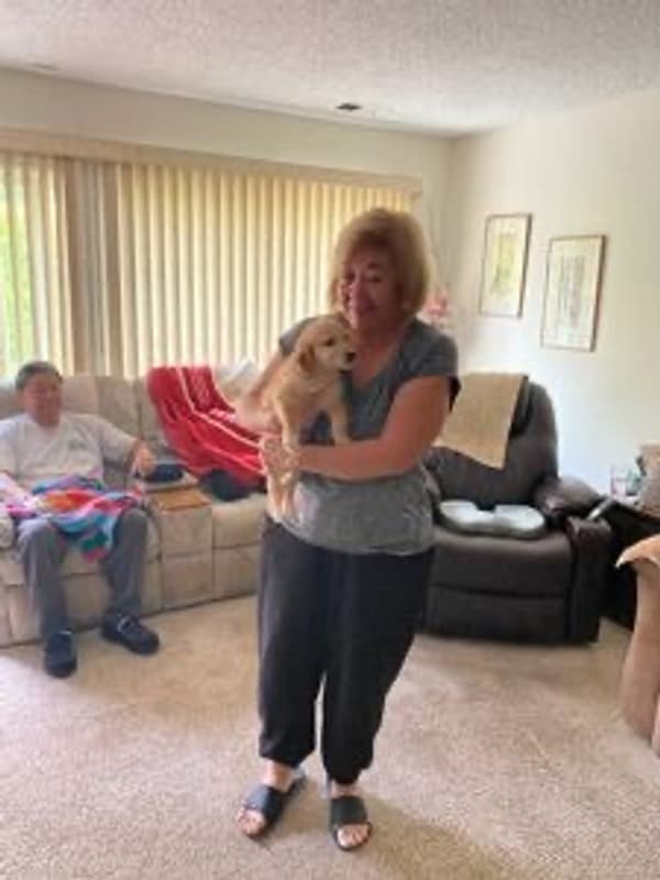 Customer photo of Goldendoodle, Mini puppy from Sachi K.