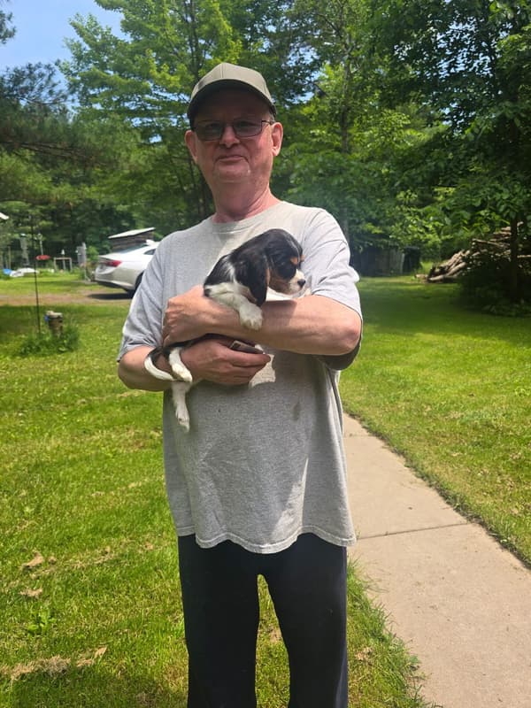 Customer photo of Cavalier King Charles Spaniel puppy from Donald R.