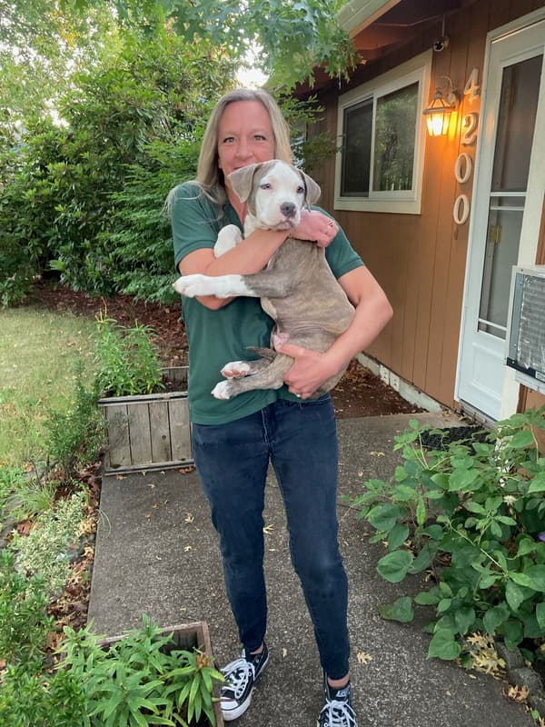 Customer photo of American Bully puppy from Heidi P.