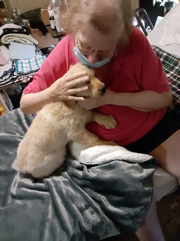 Customer photo of Golden Retriever puppy from Susan F.