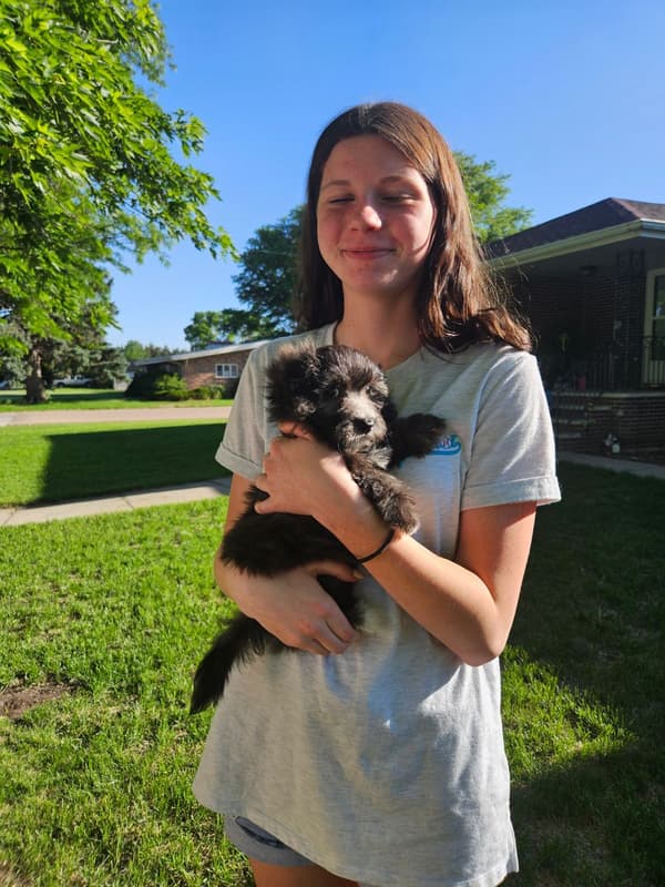 Customer photo of Havapoo puppy from Ciara L.
