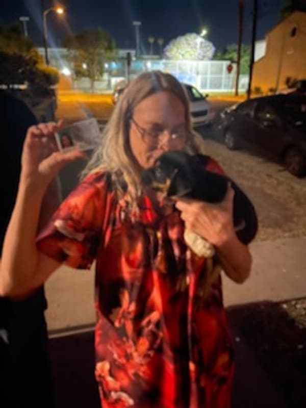 Customer photo of Puggle puppy from Geraldine C. 