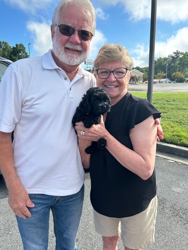 Customer photo of Cockapoo puppy from Dennis F.