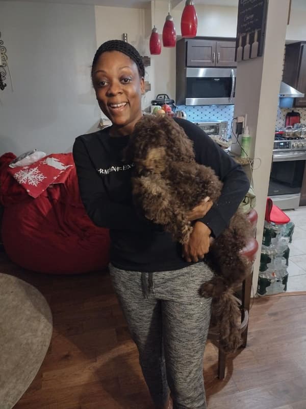 Customer photo of Sheepadoodle puppy from Rhonda L.