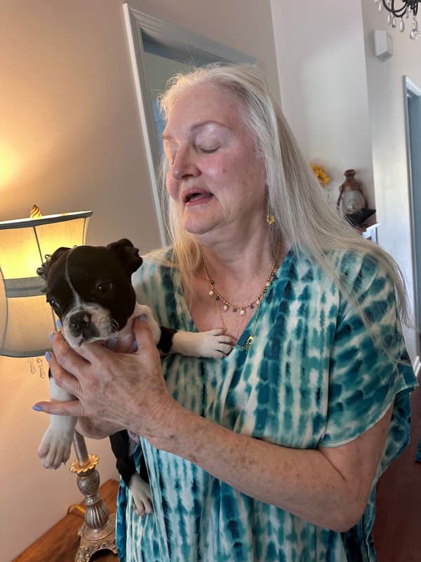 Customer photo of Boston Terrier puppy from Julia H.